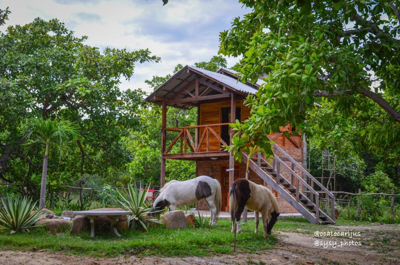Oca Tocarijus Eco Resort Piracuruca Esterno foto
